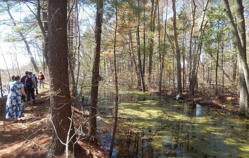 Billerica North - Middlesex Canal