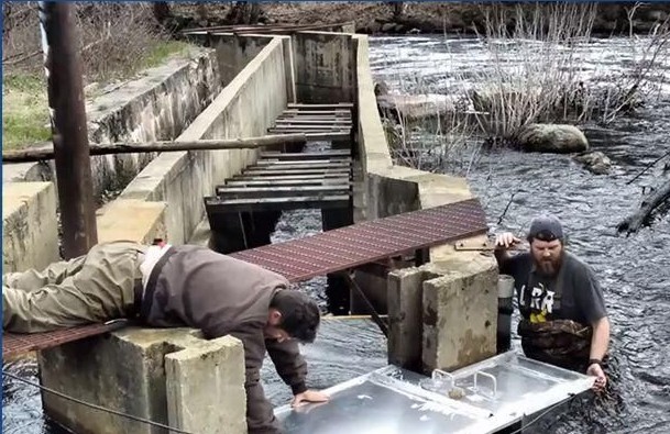 Fish Ladder - Concord River