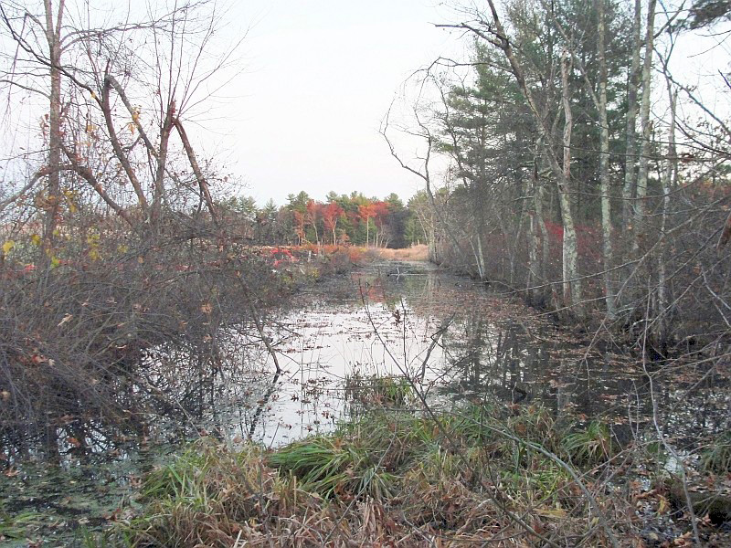 Middlesex Canal from railyard