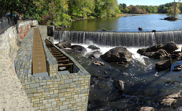 Artist rendering of fish ladder alternative. It is on the 1828 rock ramp to the fishway in the dam which extends upriver. Diadromous Fish Feasibility Final Report, 2016.