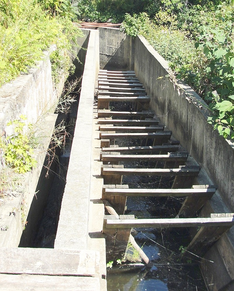 Centennial Dam Fishway