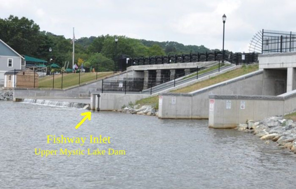 Fishway - Upper Mystic Lake Dam