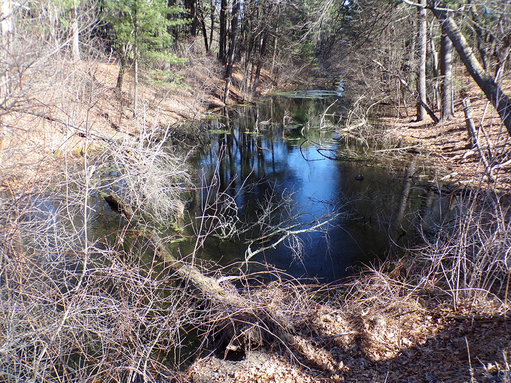 Middlesex Canal from the RR bridge